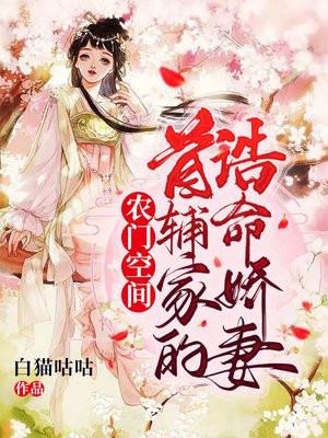 爱妻油烟机是几线品牌