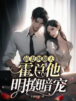 大夏第一皇子TXT