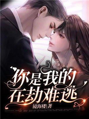 逻辑人生游戏