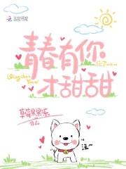 四合院重生四合院