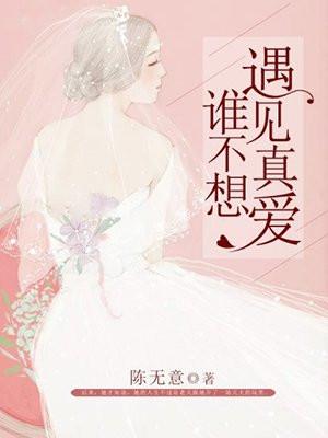 最强医圣秦风免费阅读