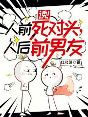 大明第一皇太孙TXT