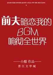 鉴宝无双 青木赤火
