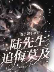 鉴宝无双赵轩免费阅读全文