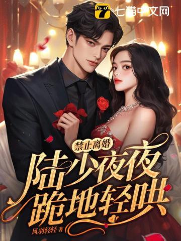 一个路过的冒险家是什么歌