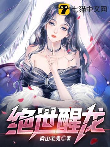 一个冒险家的故事
