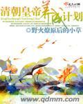 薄夜宸乔以沫