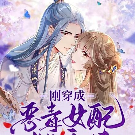豪门情杀案