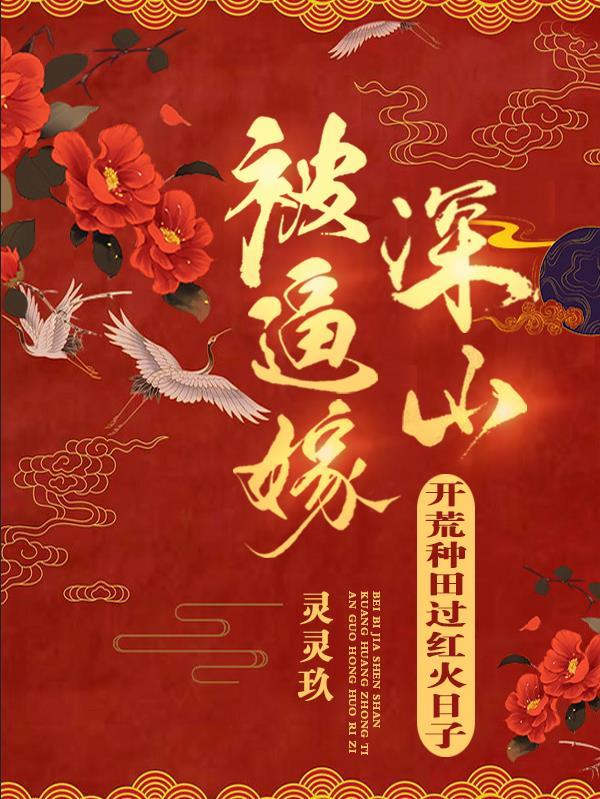 深圳王加代传奇故事