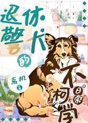 闪婚甜妻豪门第一名媛