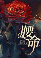 一品书生主角几个老婆