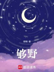 崩坏三开局播放天穹市的