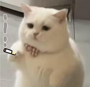 空间猎户家的小娇娘