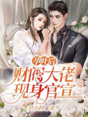 李辰安和龙木兰