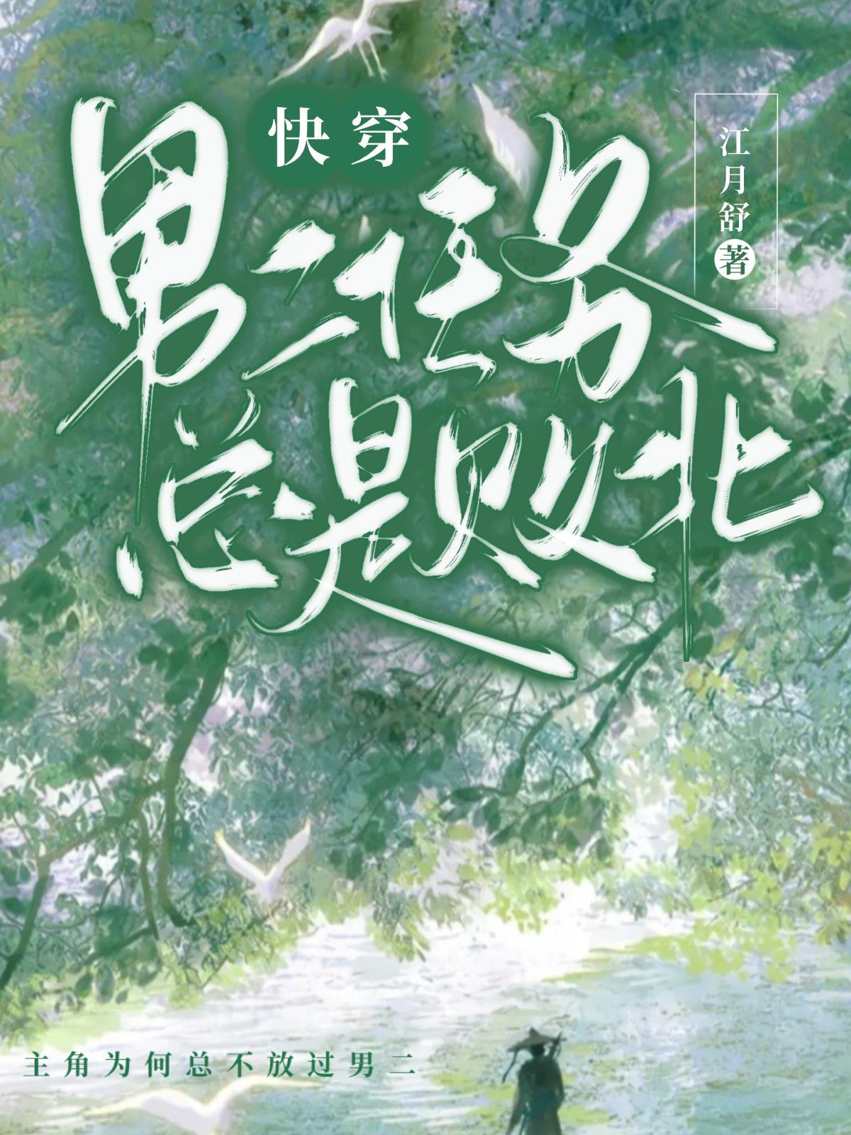 沈嘉舒蒋湛安重生八零