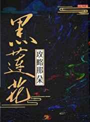 高手寂寞百度百科女主