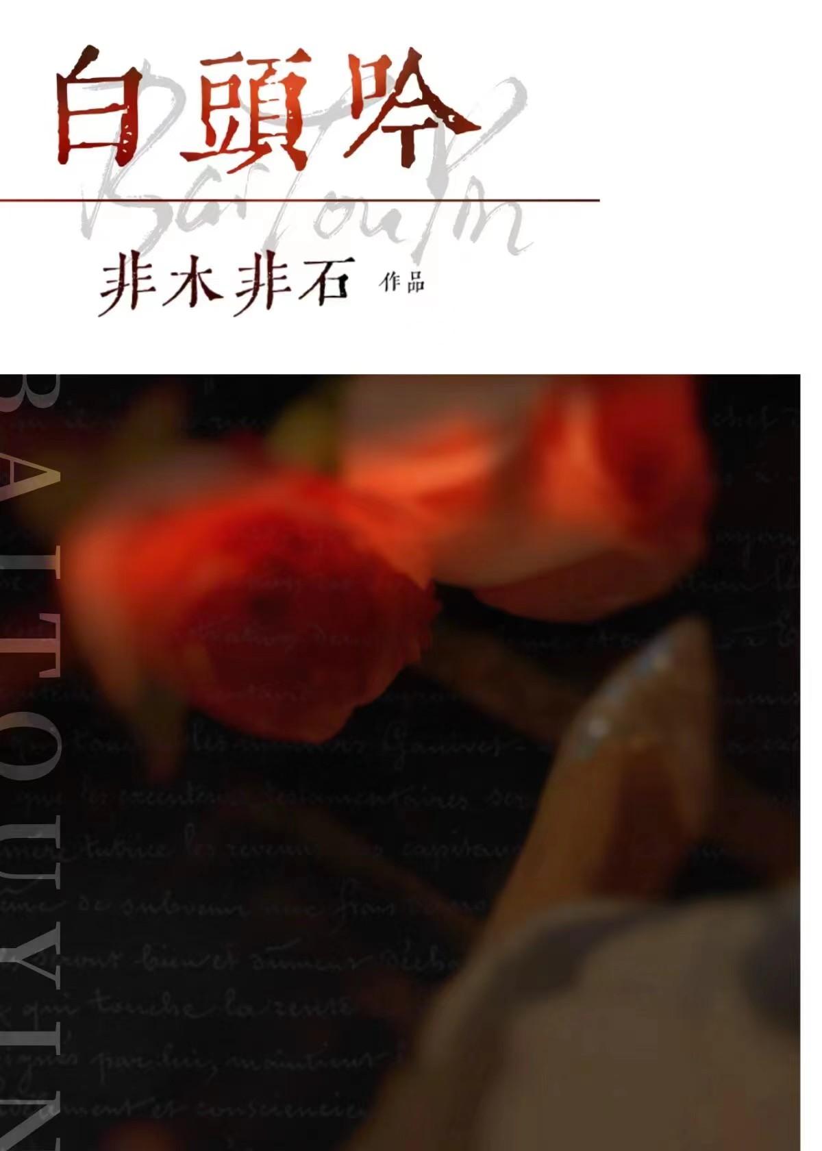 重生之女将后