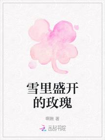 医生闪婚文