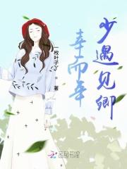 疯人院讲解