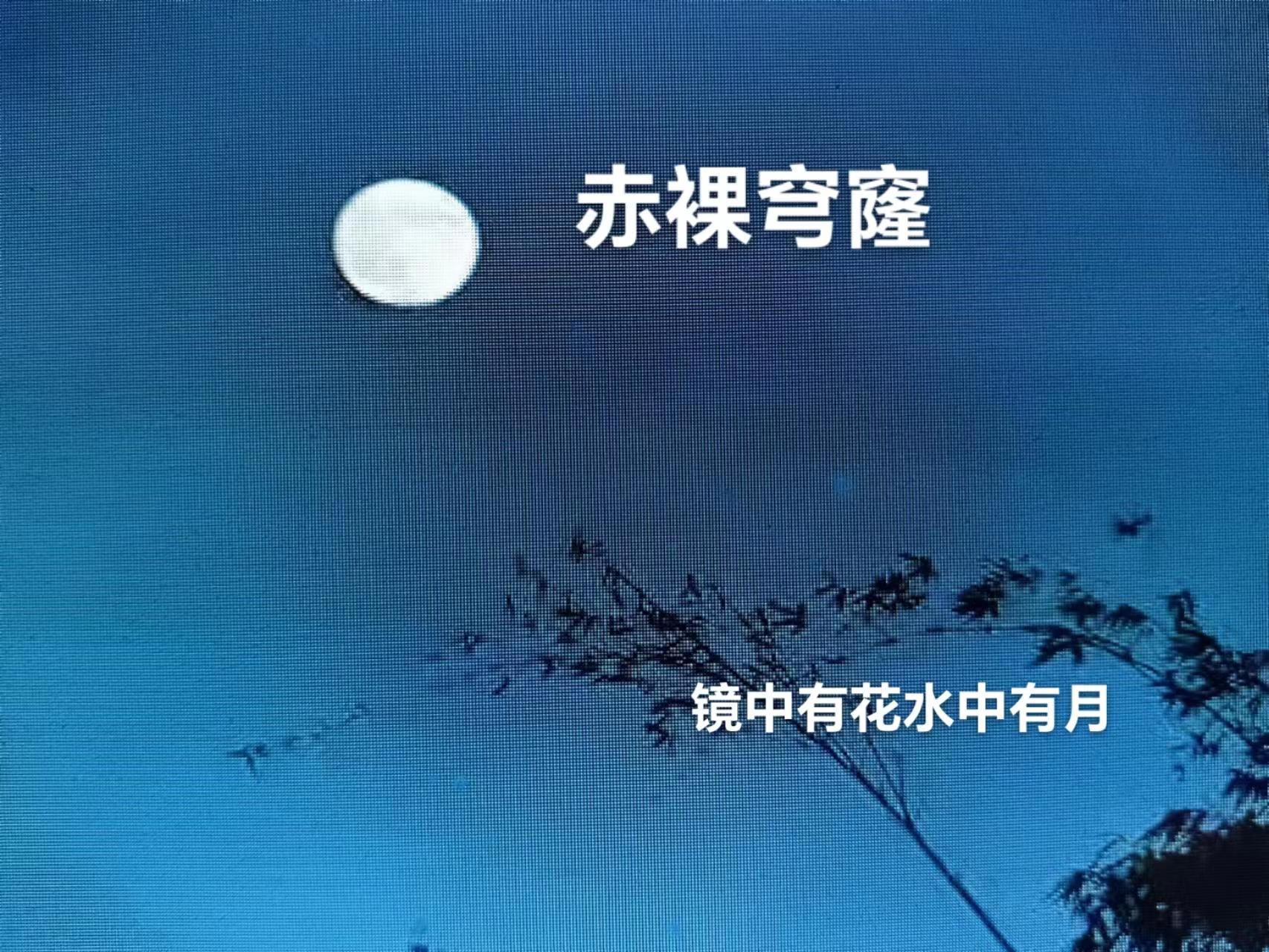 苏莞李临最新章节