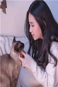菜小鸟游戏解说视频
