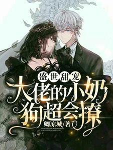 清穿之哲皇贵妃