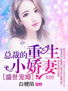 盗墓笔记灯海寻尸免费阅读