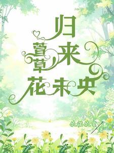 万古第一枪婿免费阅读