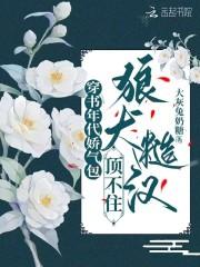 末世霸主王鹰