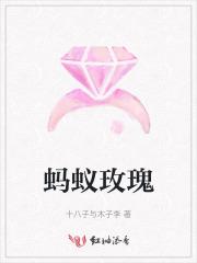 影帝的隐婚妻子笔趣阁