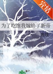 盖世神偷简介