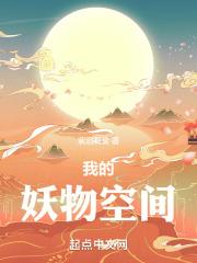 我的26岁女房客昭阳的事业轨迹
