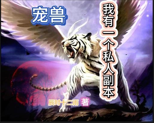 护花小神医简介