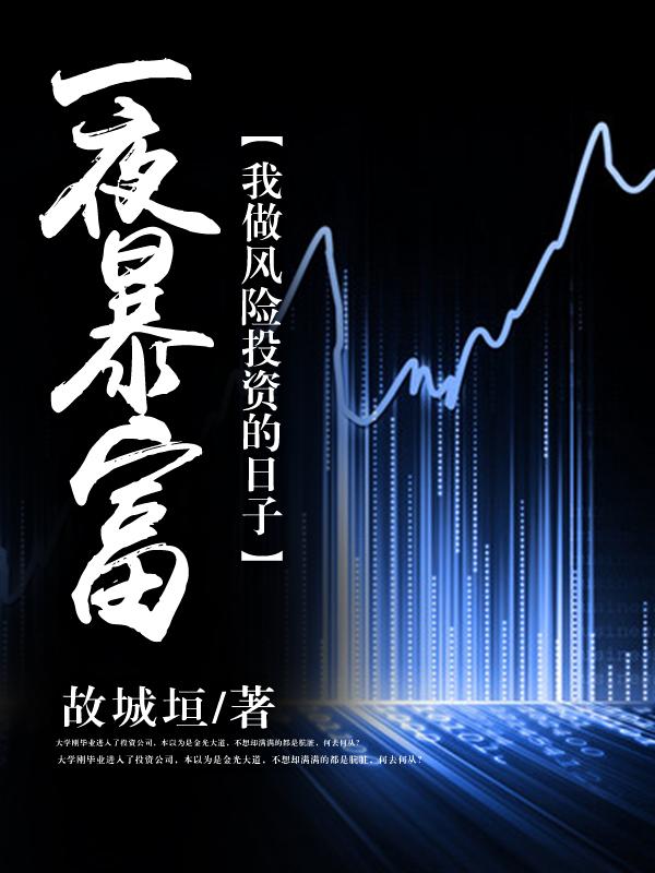我的26个男房客是什么