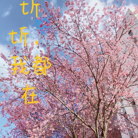 恶毒女配狠嚣张男主是谁