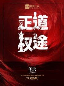 官场省委书记