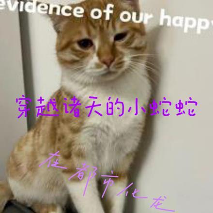 我穿越成了修仙的反派大少爷
