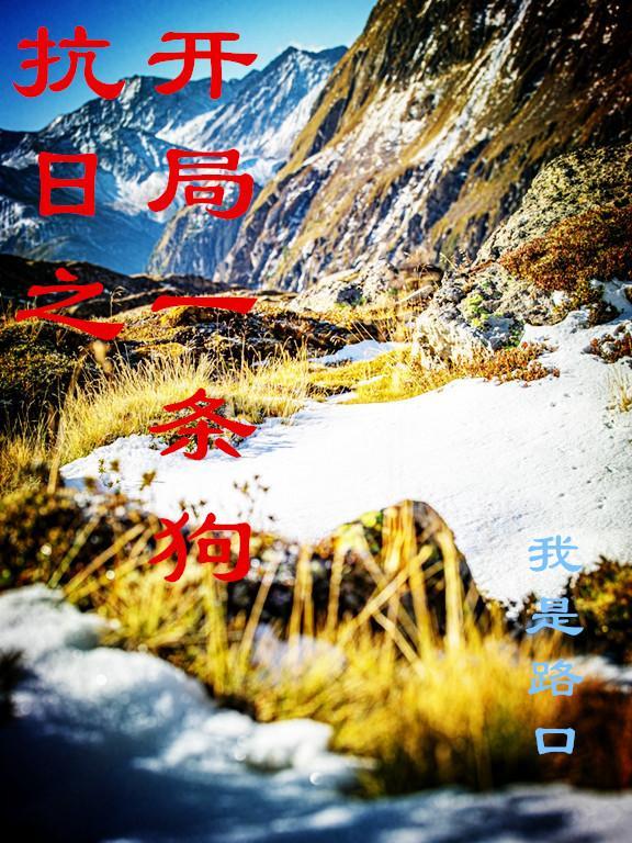 侯门娇宠