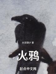 九转星辰诀TXT