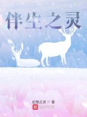 恒王妃云婉重生记