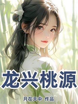 橙光游戏少女成长手札攻略郡主线攻略