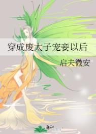 台风天大太阳