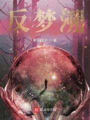 北城有雪讲的什么故事