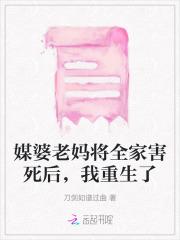 北城有雪全文免费阅读无弹窗