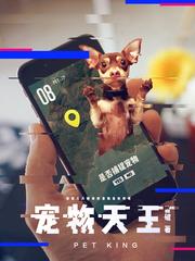 叶玄