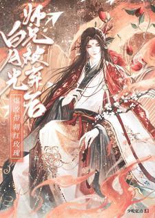 宝可梦之龙系天王主角的宝可梦
