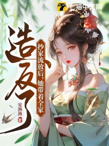 叶清清沈从安免费