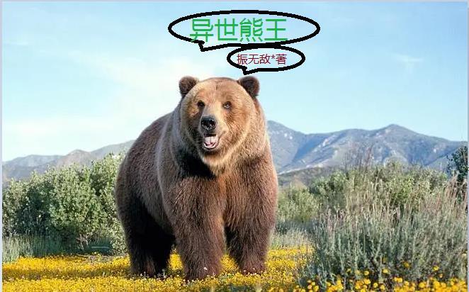 深夜捡到的女孩哭着跟我回家