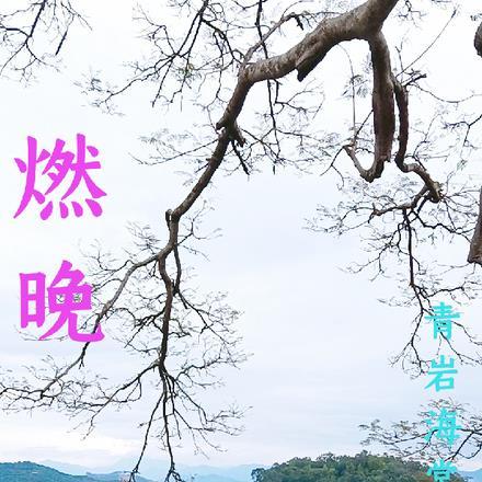 穿越成男主师尊了免费阅读