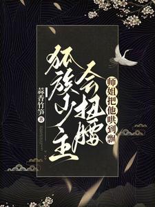此生与你暂别离傅时年